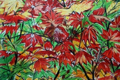 8-autumn-foliage